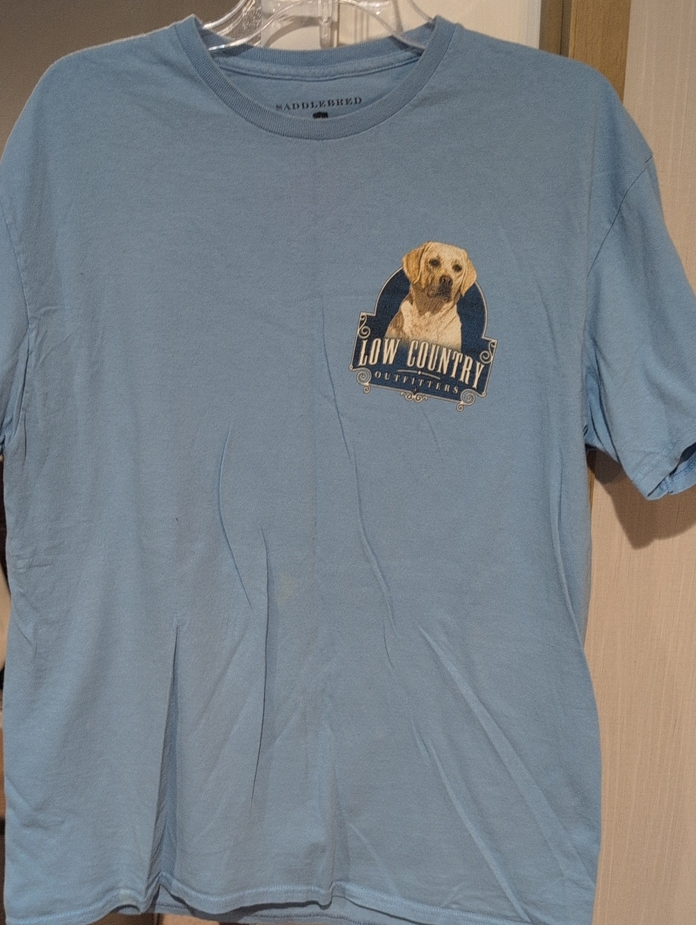 Men's Light Blue Graphic Tee